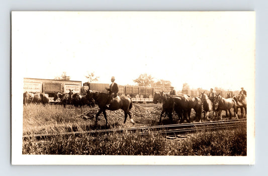 Circus Horse Railroad Train 1940s Photo - 2.75 x 4.5