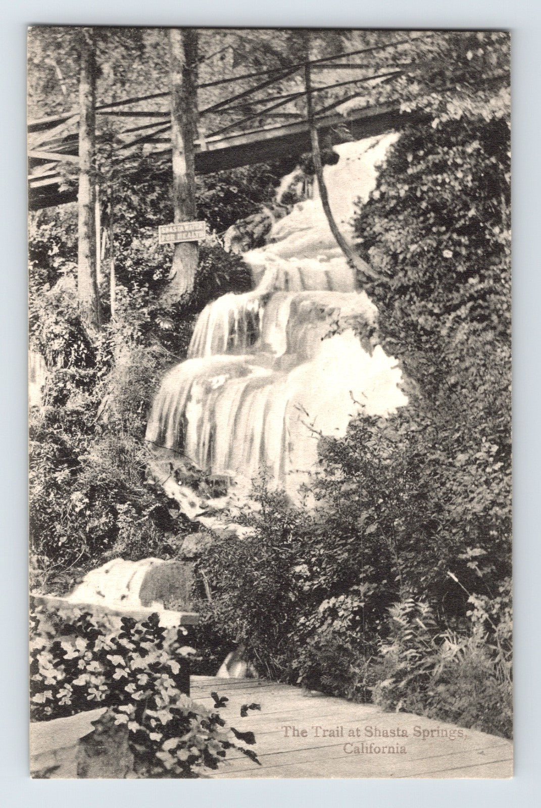 Dunsmuir California Shasta Springs Trail 1910s Postcard Unposted Divided Back