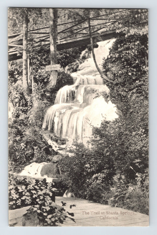 Dunsmuir California Shasta Springs Trail 1910s Postcard Unposted Divided Back