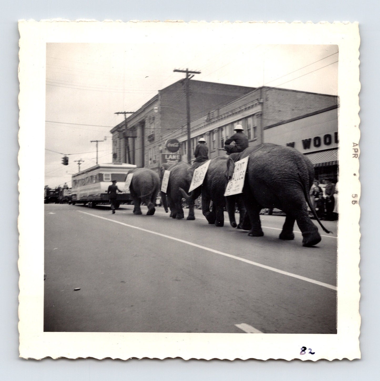 1955 Cole Bros Circus elephant parade snapshot photograph showing elephants and riders moving through downtown Decatur GA streets during a circus promotion procession