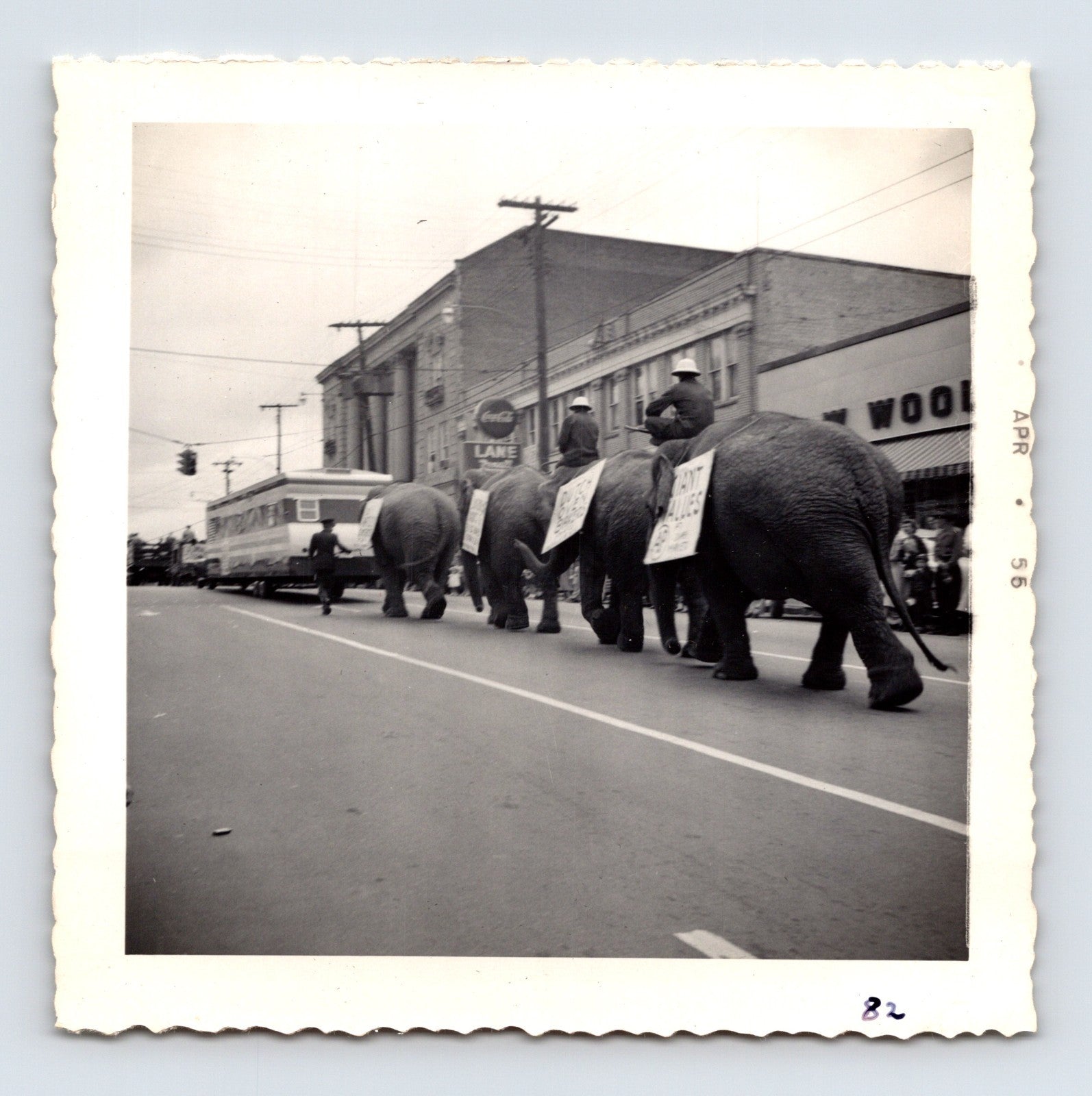 1955 Cole Bros Circus elephant parade snapshot photograph showing elephants and riders moving through downtown Decatur GA streets during a circus promotion procession