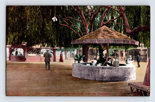 Oakland California Idora Park willow trees pavilion seating early amusement park postcard