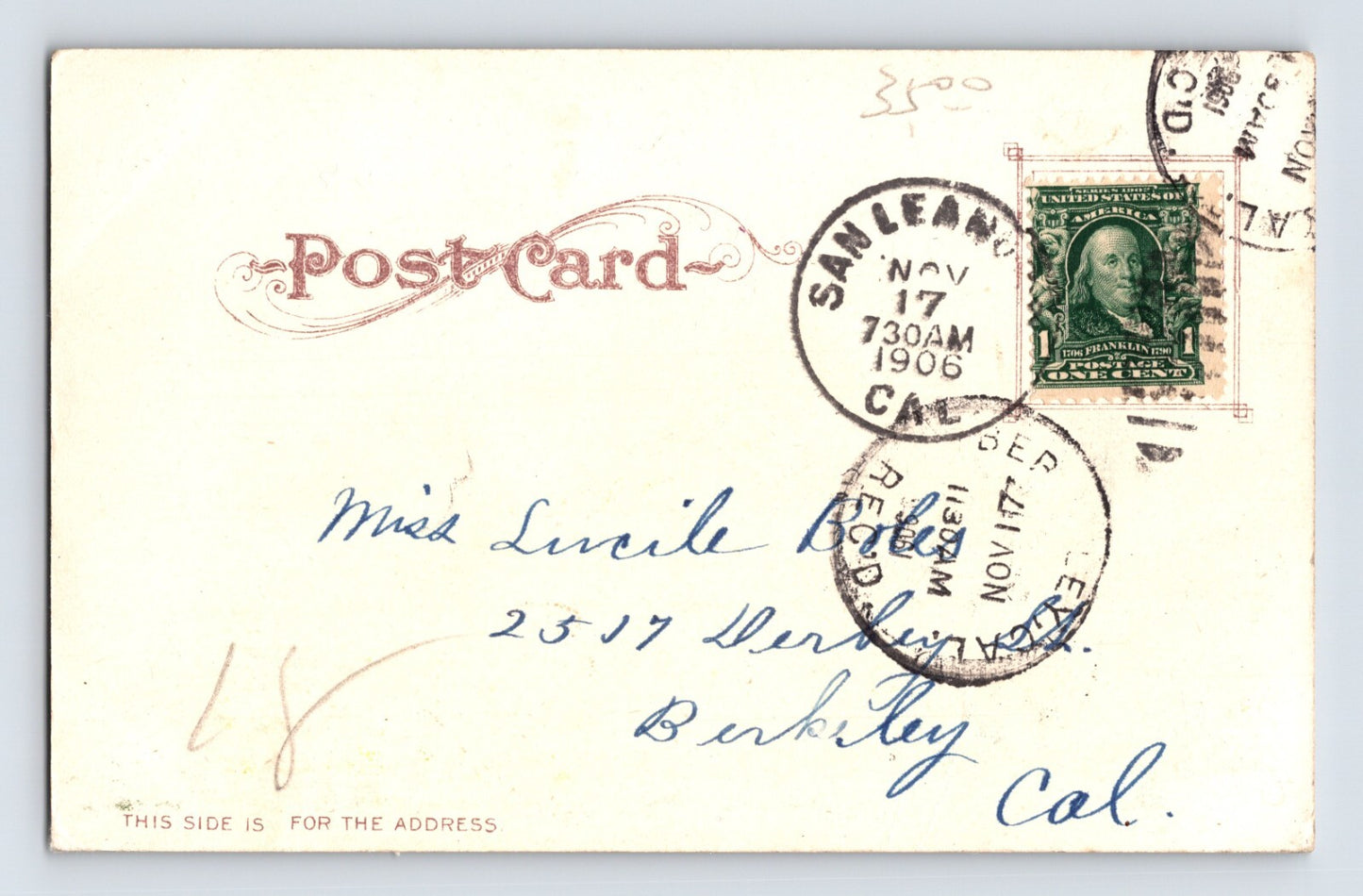 Hayward California Windblown Oaks 1906 Postcard Posted Undivided Back