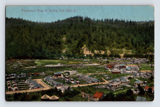 Panoramic view Scotia California aerial downtown lumber town 1910s divided back postcard