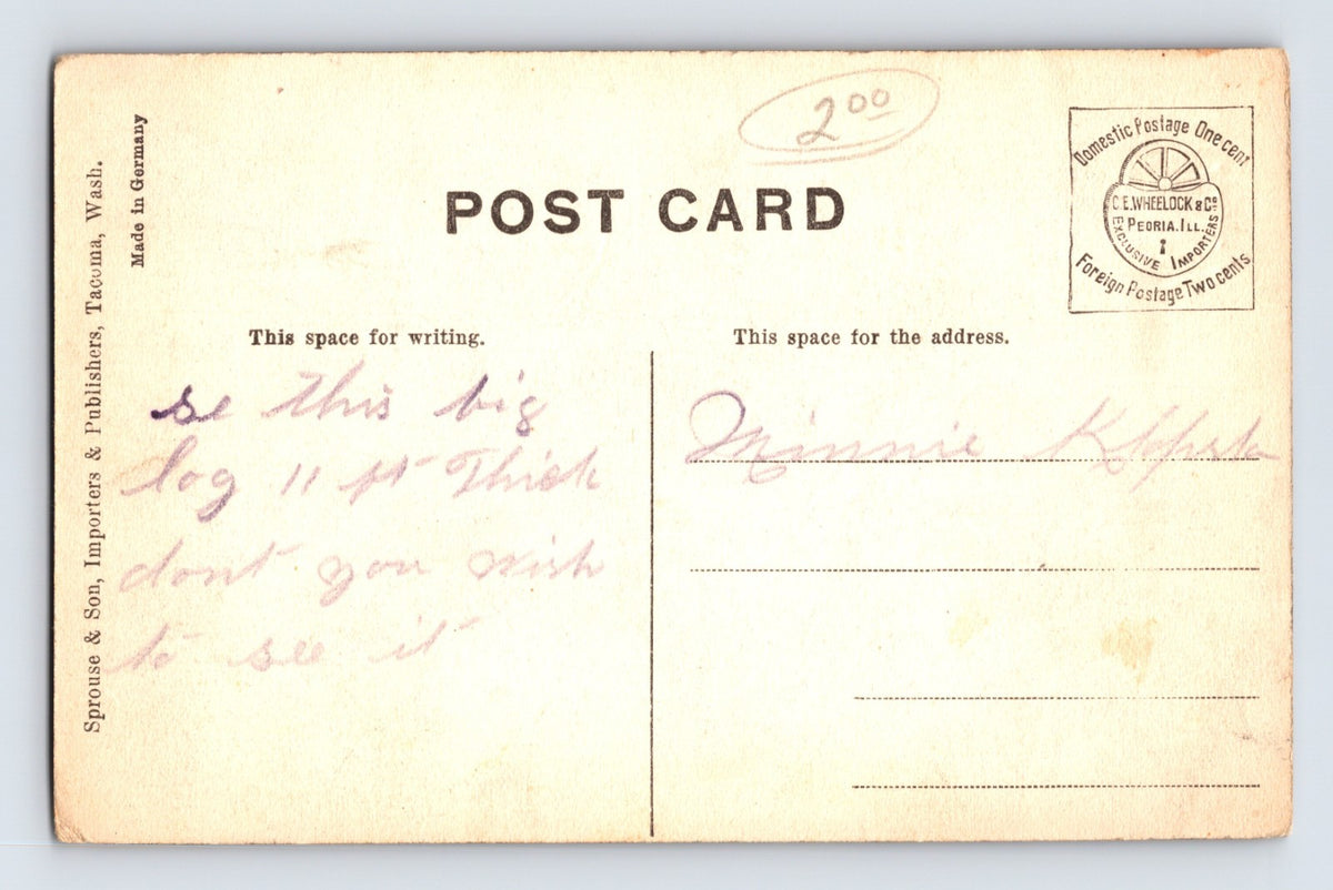 Bellingham Washington Giant Fir Lumberjacks 1910s Postcard Divided Back Unposted