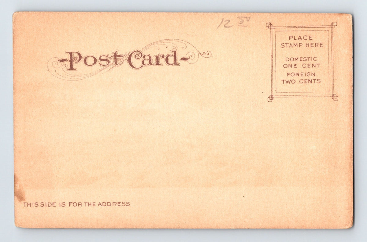 Eureka California Water Front Lumber Mil Ship Pre-1907 Postcard Undivided Back