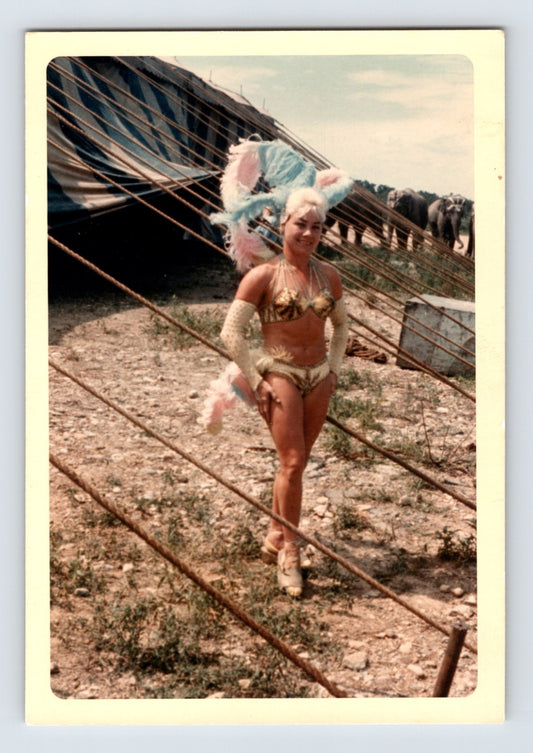 Mills Bros Circus 1960s showgirl performer in feather costume walking beside circus tent with elephants in background photograph