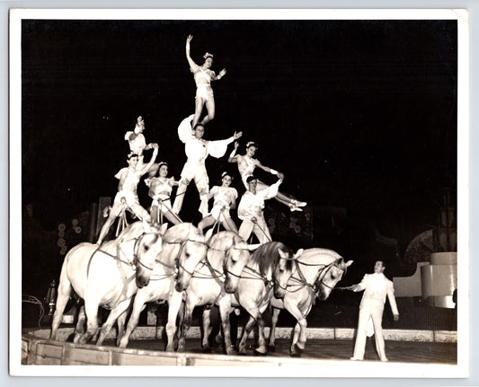 Circus Performers Horse Acrobats 1940s Photo 8 x 10