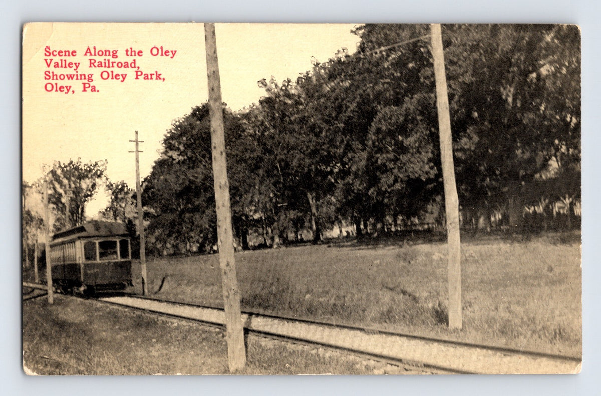 1910s postcard showing a trolley car along the Oley Valley Railroad near Oley Park in Pennsylvania, with tracks, utility poles, and wooded park scenery beside the line.