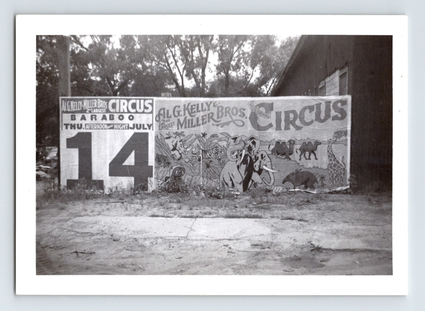 1955 Kelly Miller Bros Circus billboard banner with large July 14 date panel and illustrated elephants, camels, and giraffe mounted beside a wooden building.
