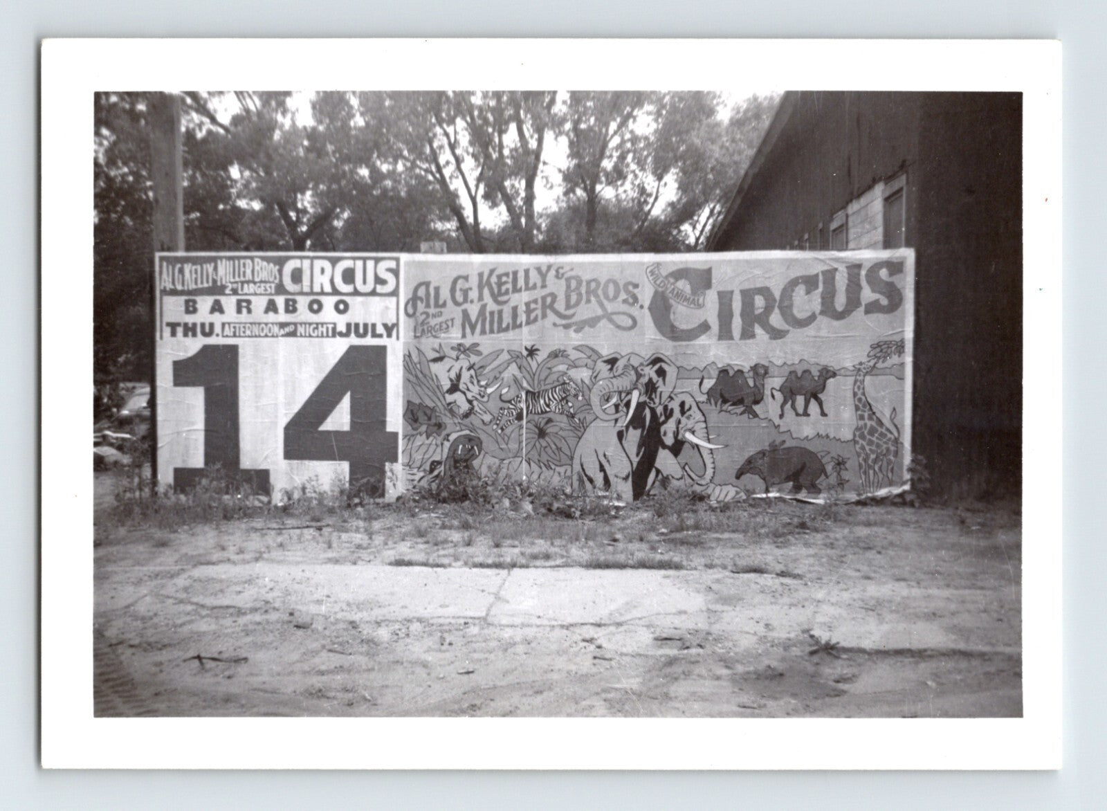 1955 Kelly Miller Bros Circus billboard banner with large July 14 date panel and illustrated elephants, camels, and giraffe mounted beside a wooden building.