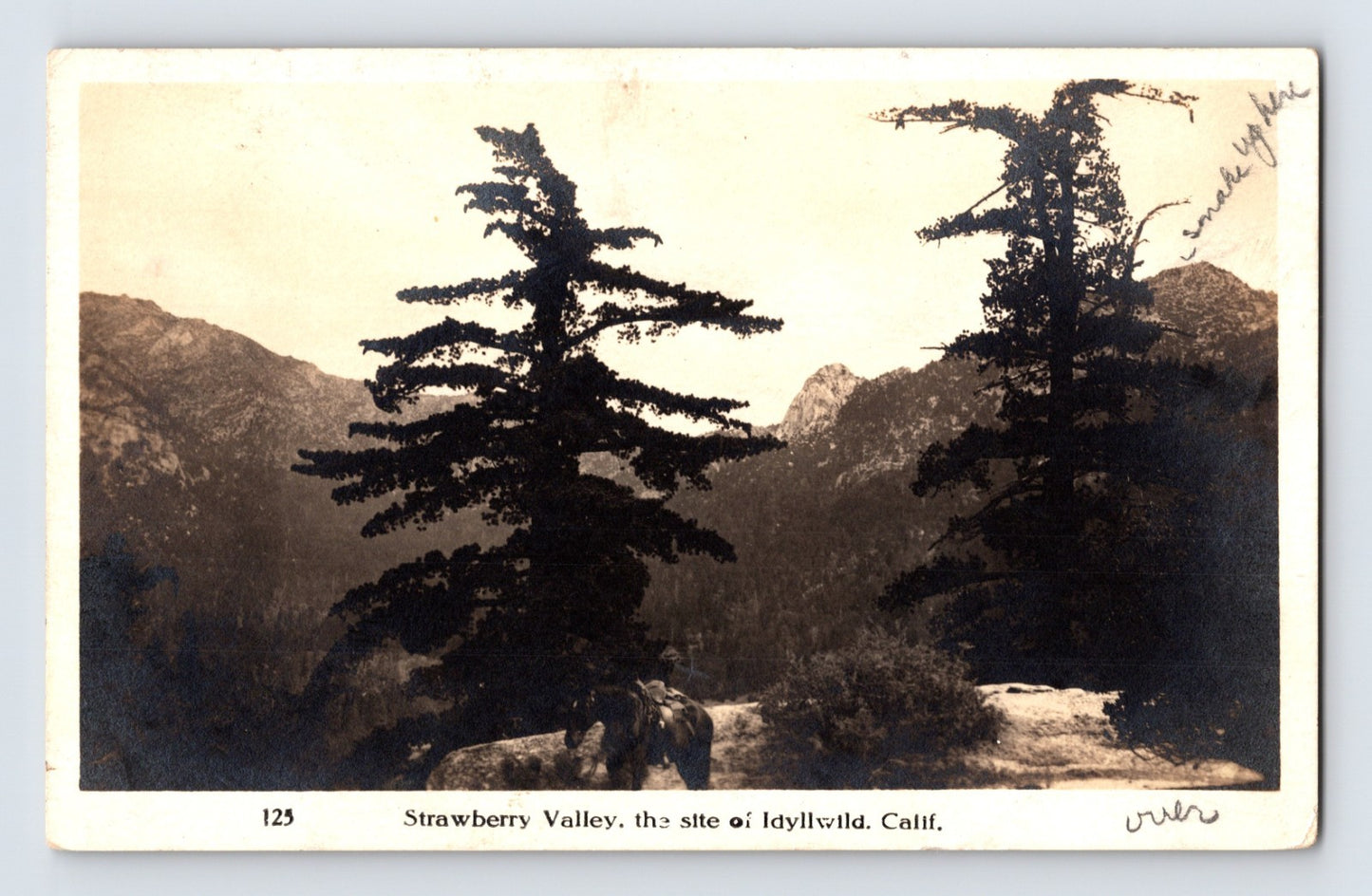 Idyllwild California Strawberry Valley mountain landscape RPPC postcard with horseback rider and pine trees