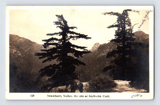 Idyllwild California Strawberry Valley mountain landscape RPPC postcard with horseback rider and pine trees