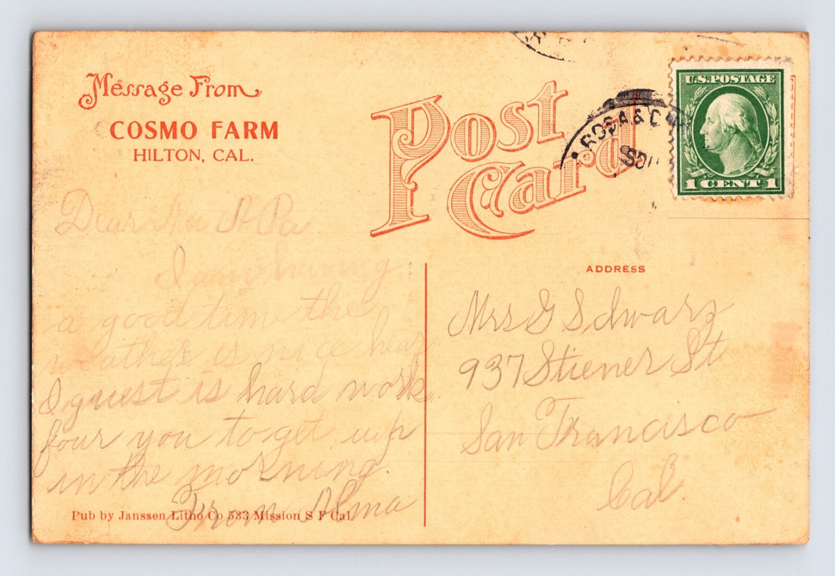 Hilton California Cosmo Farm Swimming 1910s Postcard Posted Divided Back