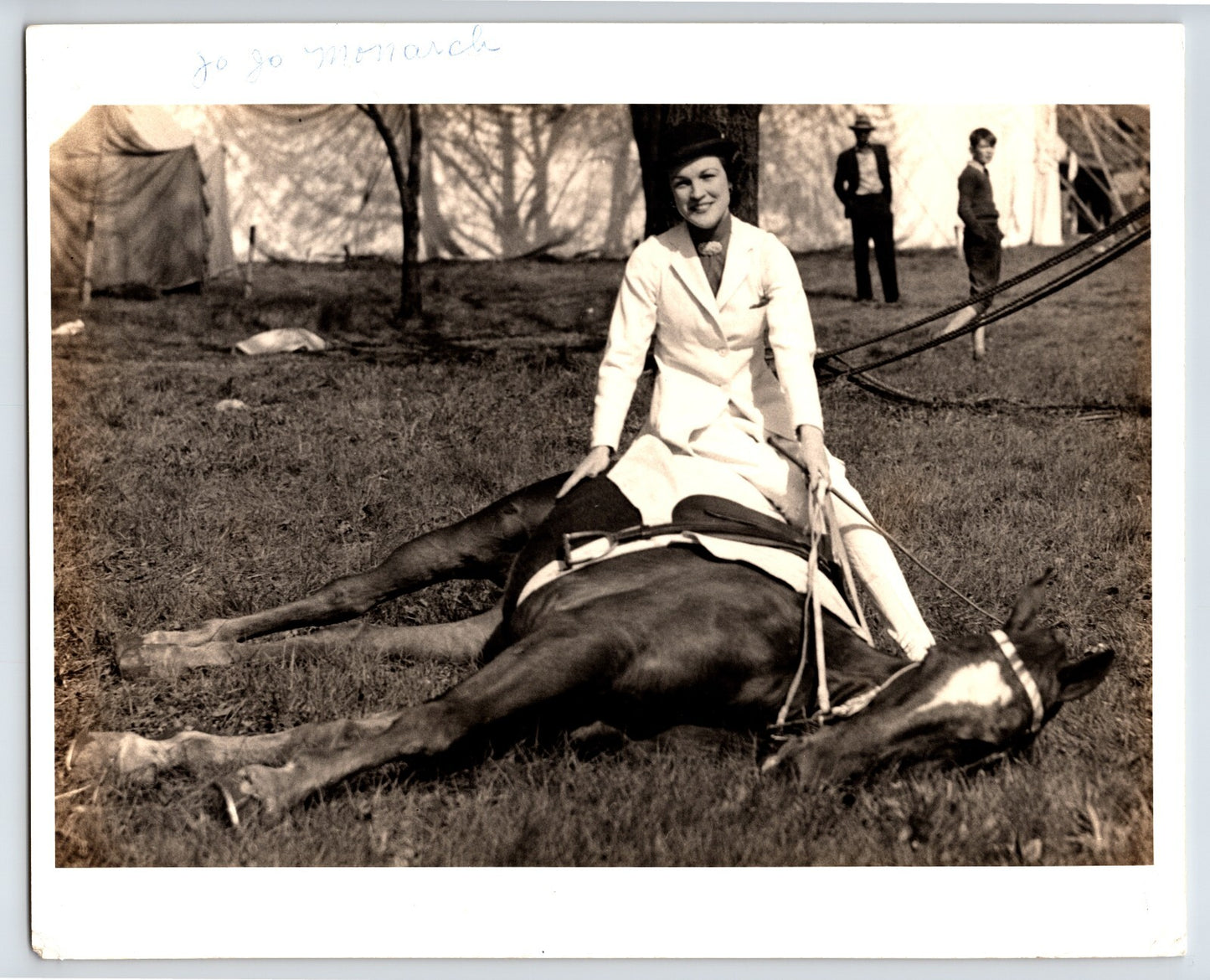 Cole Bros Circus 1940s Photo Lady Trainer Jojo Monarch 8 x 10