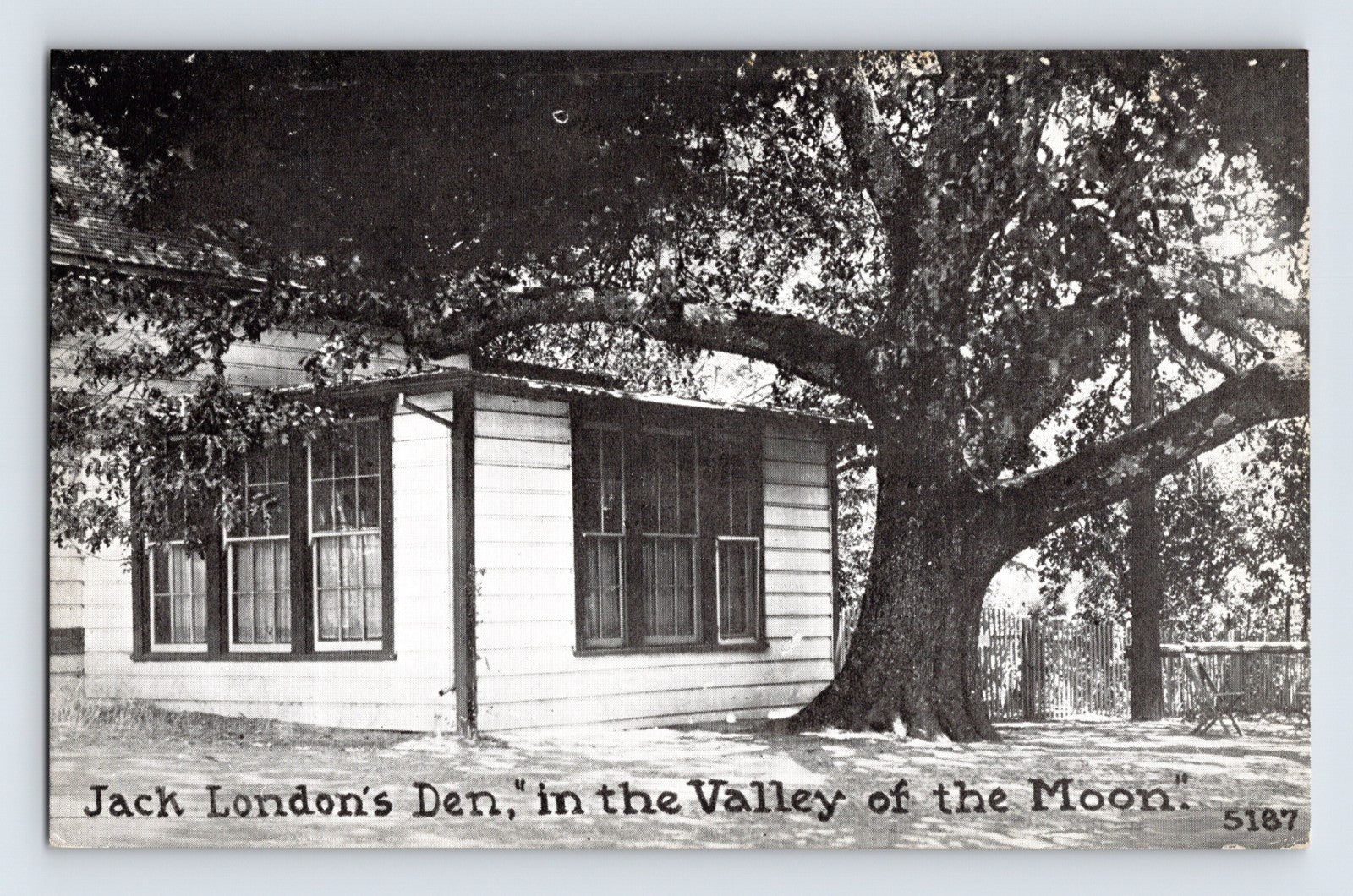 Glen Ellen California Jack London Den Valley of the Moon cottage oak tree vintage postcard