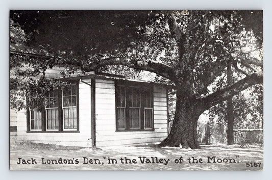 Glen Ellen California Jack London Den Valley of the Moon cottage oak tree vintage postcard