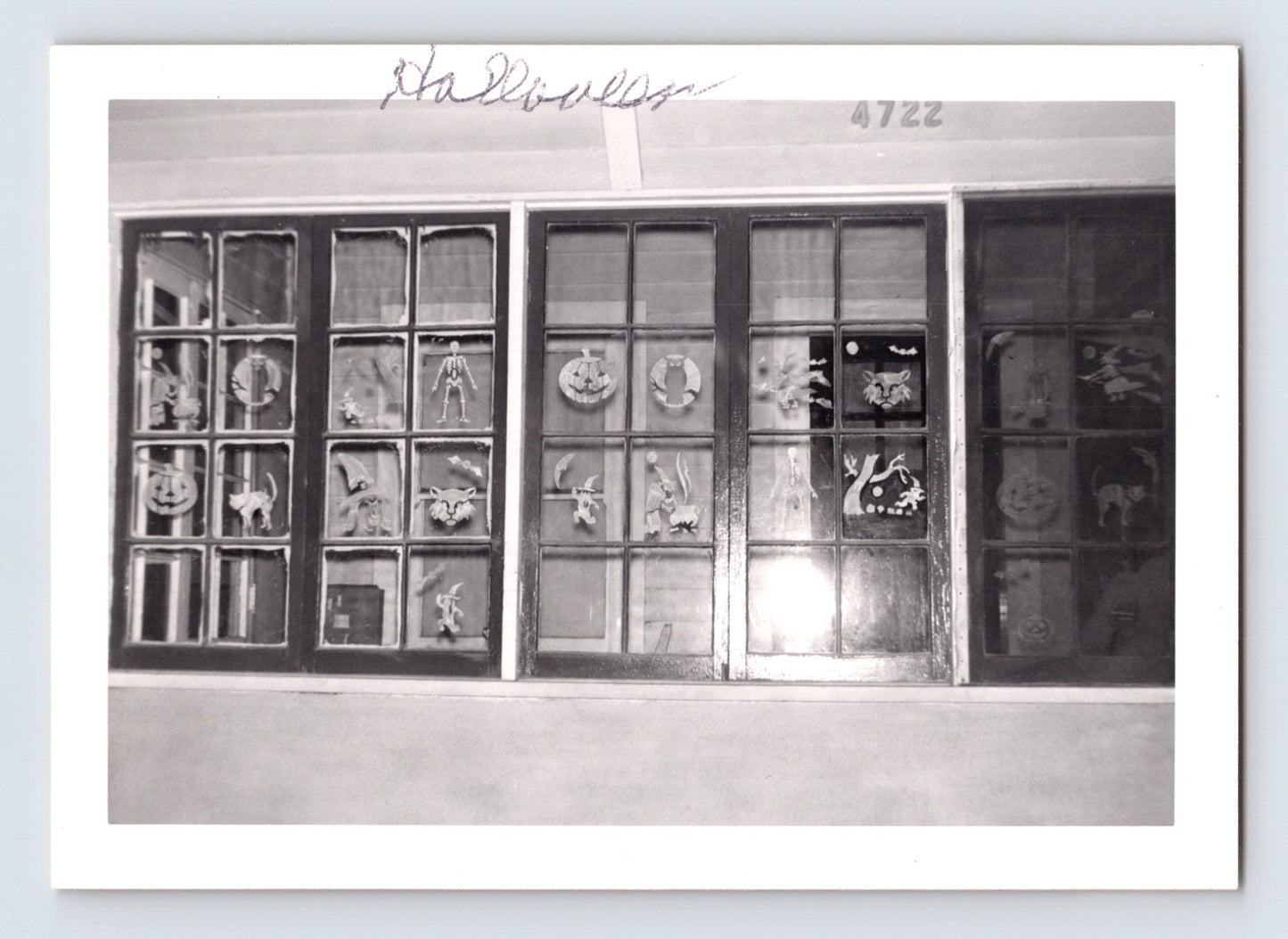 Halloween window display paper decorations skeleton pumpkin witch bats vintage snapshot photo 3.5 x 5