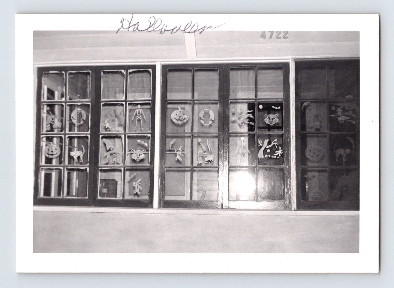 Halloween window display paper decorations skeleton pumpkin witch bats vintage snapshot photo 3.5 x 5