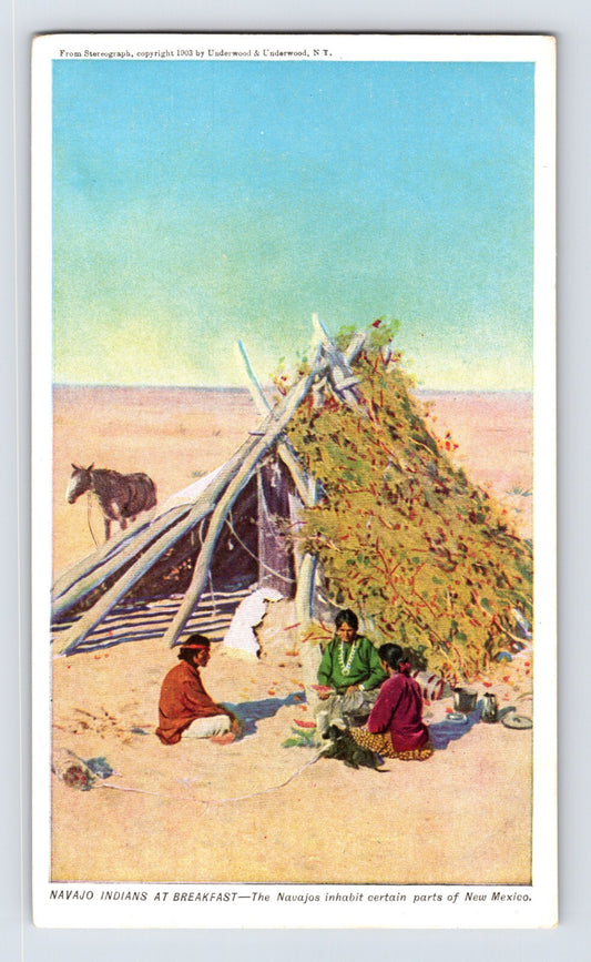 New Mexico Navajo breakfast scene pre 1907 postcard desert shelter figures horse undivided back