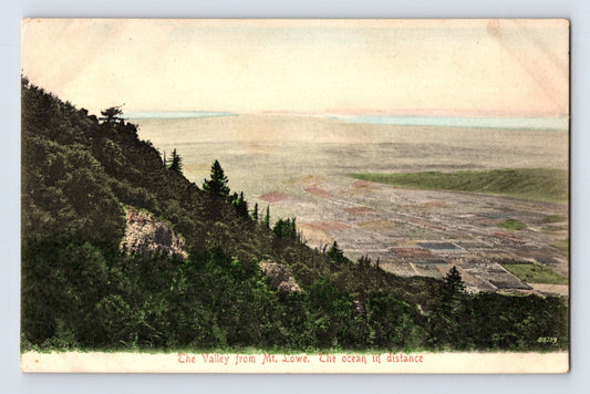 Mt Lowe California Valley View Ocean Distance 1910s Postcard Unposted Divided