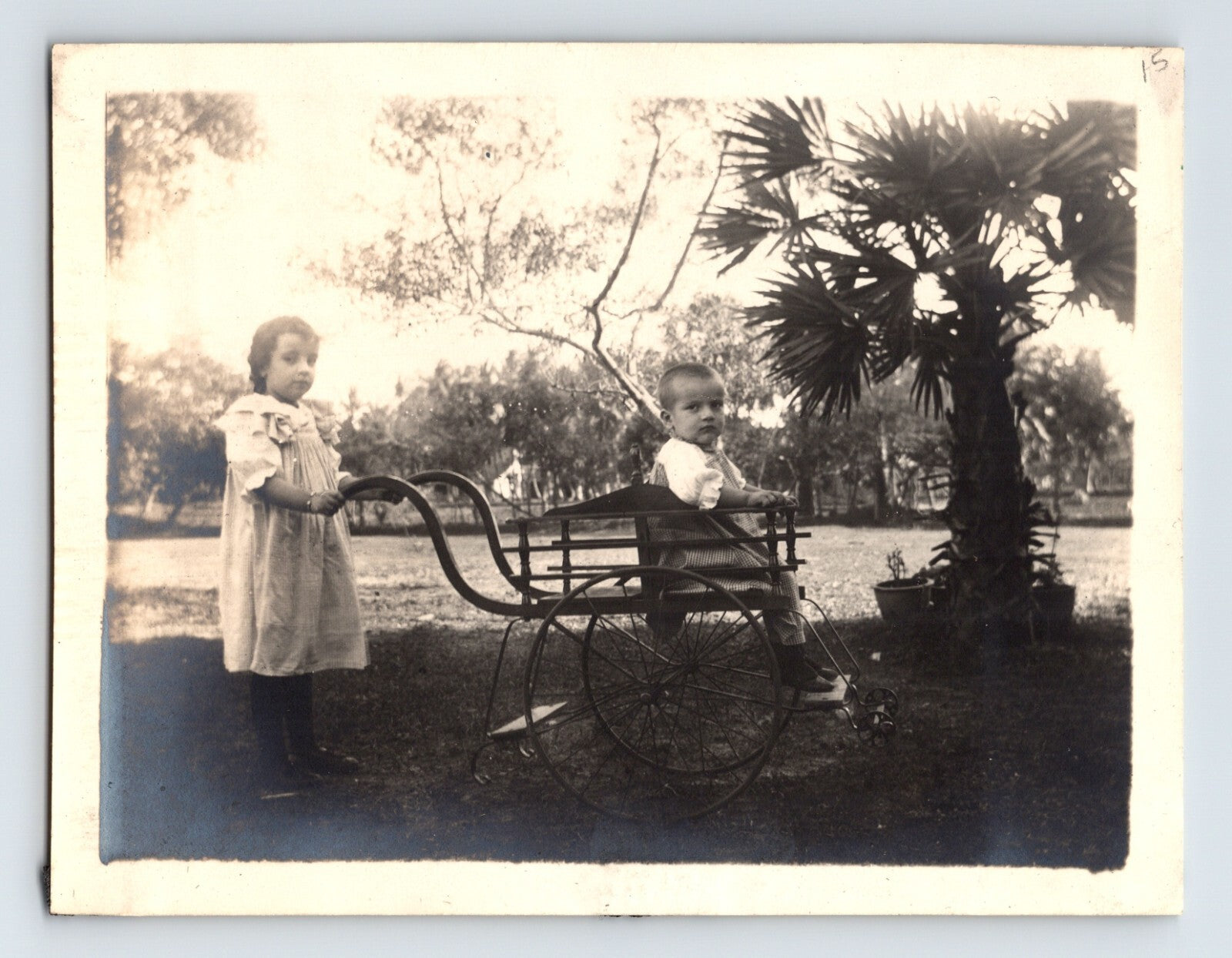children stroller buggy brother sister outdoor yard palm tree 1900 antique photo
