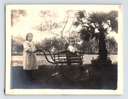children stroller buggy brother sister outdoor yard palm tree 1900 antique photo
