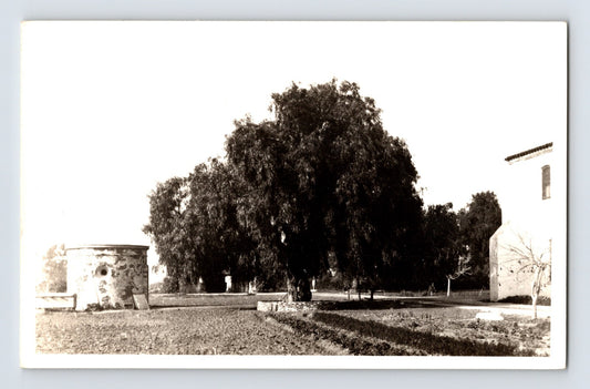 Oceanside California Mission San Luis Rey courtyard tree RPPC 1930s postcard