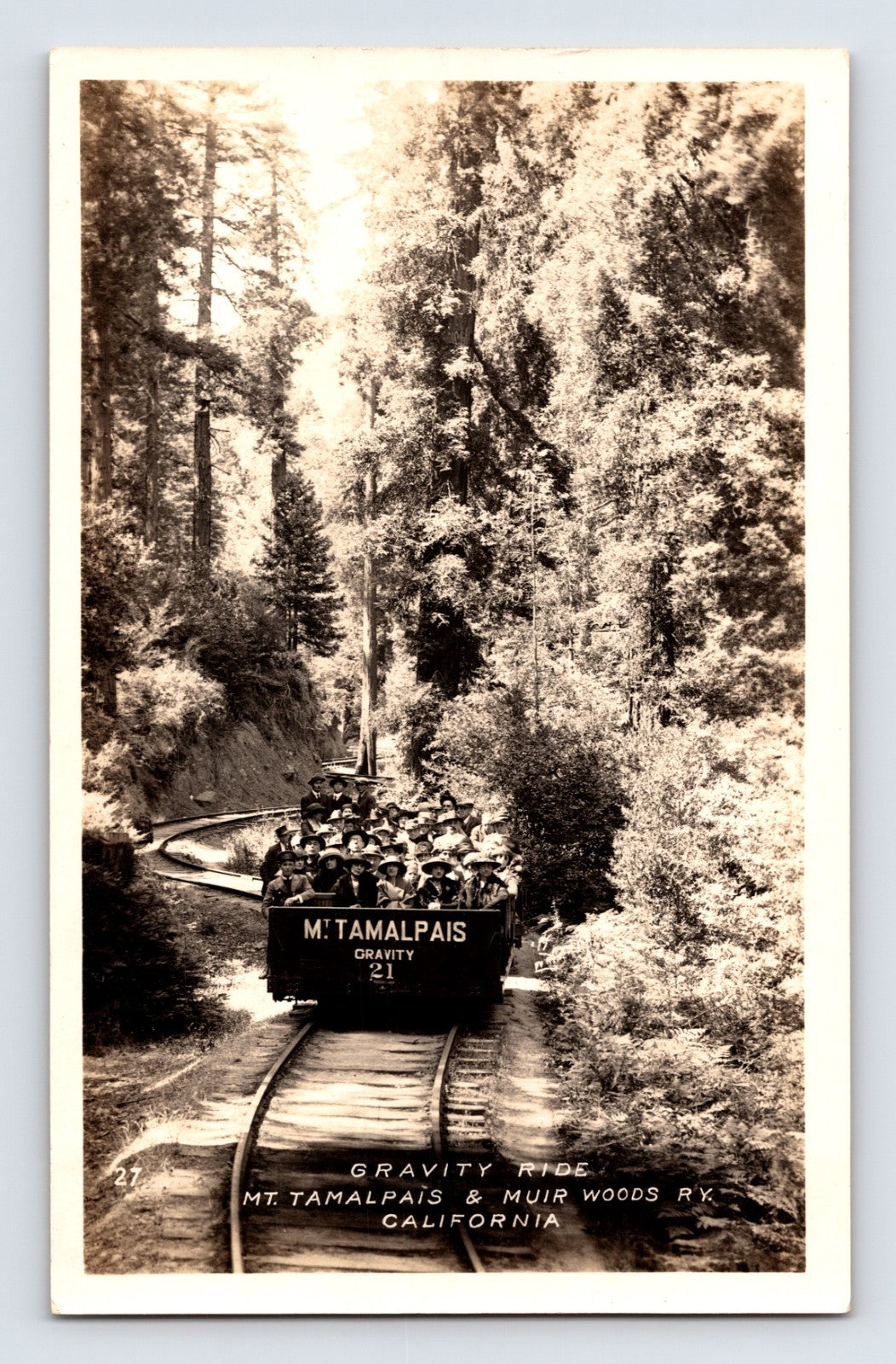 Mount Tamalpais California gravity ride railway through redwood forest RPPC postcard