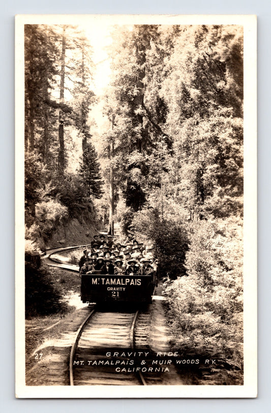 Mount Tamalpais California gravity ride railway through redwood forest RPPC postcard
