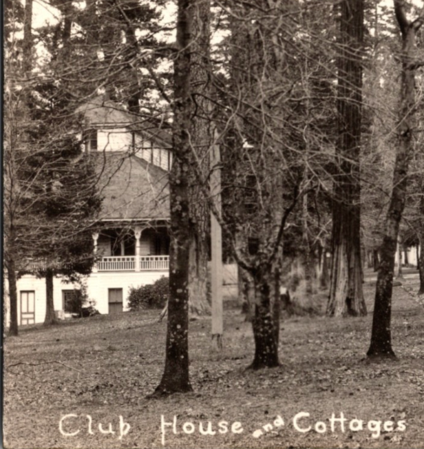 Shasta Springs California Club House Cottages 1910s RPPC Postcard Unposted