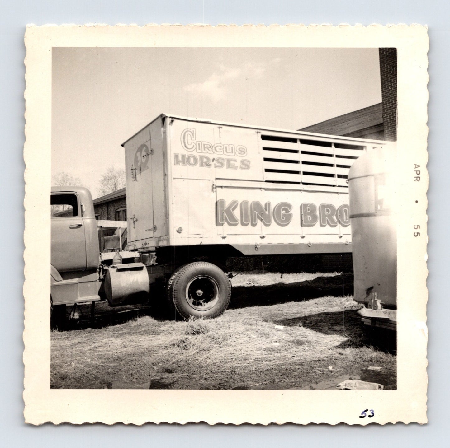 King Bros Circus 1955 photo circus horses transport truck lettering winter quarters hay ground