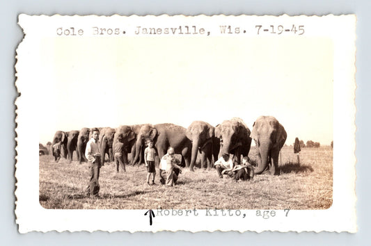 Cole Bros Circus elephant herd with handlers and children Janesville Wisconsin 1945 vintage photo