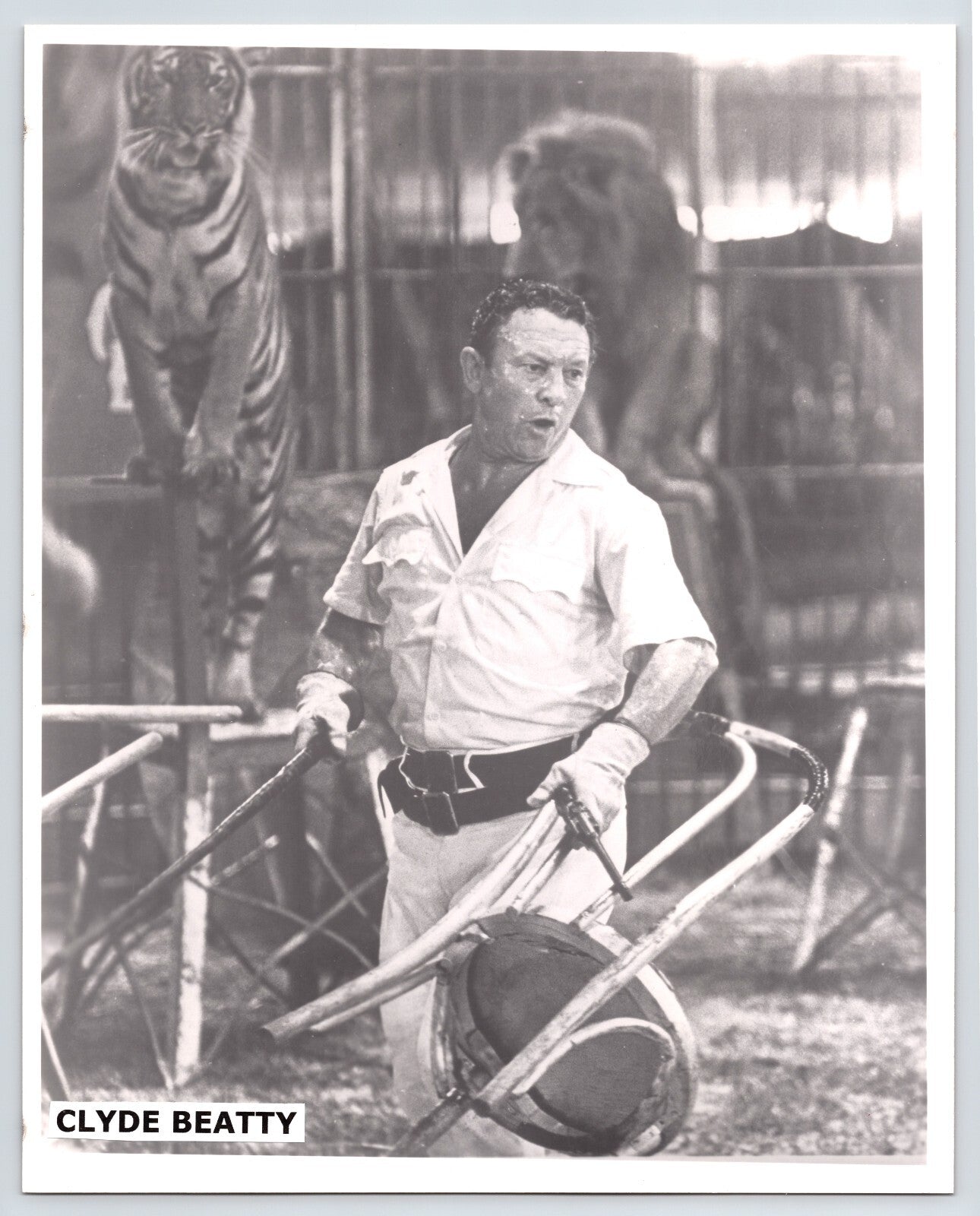 1940s press photograph of Clyde Beatty inside circus animal cage holding chair and whip, with tiger and lion visible behind him.