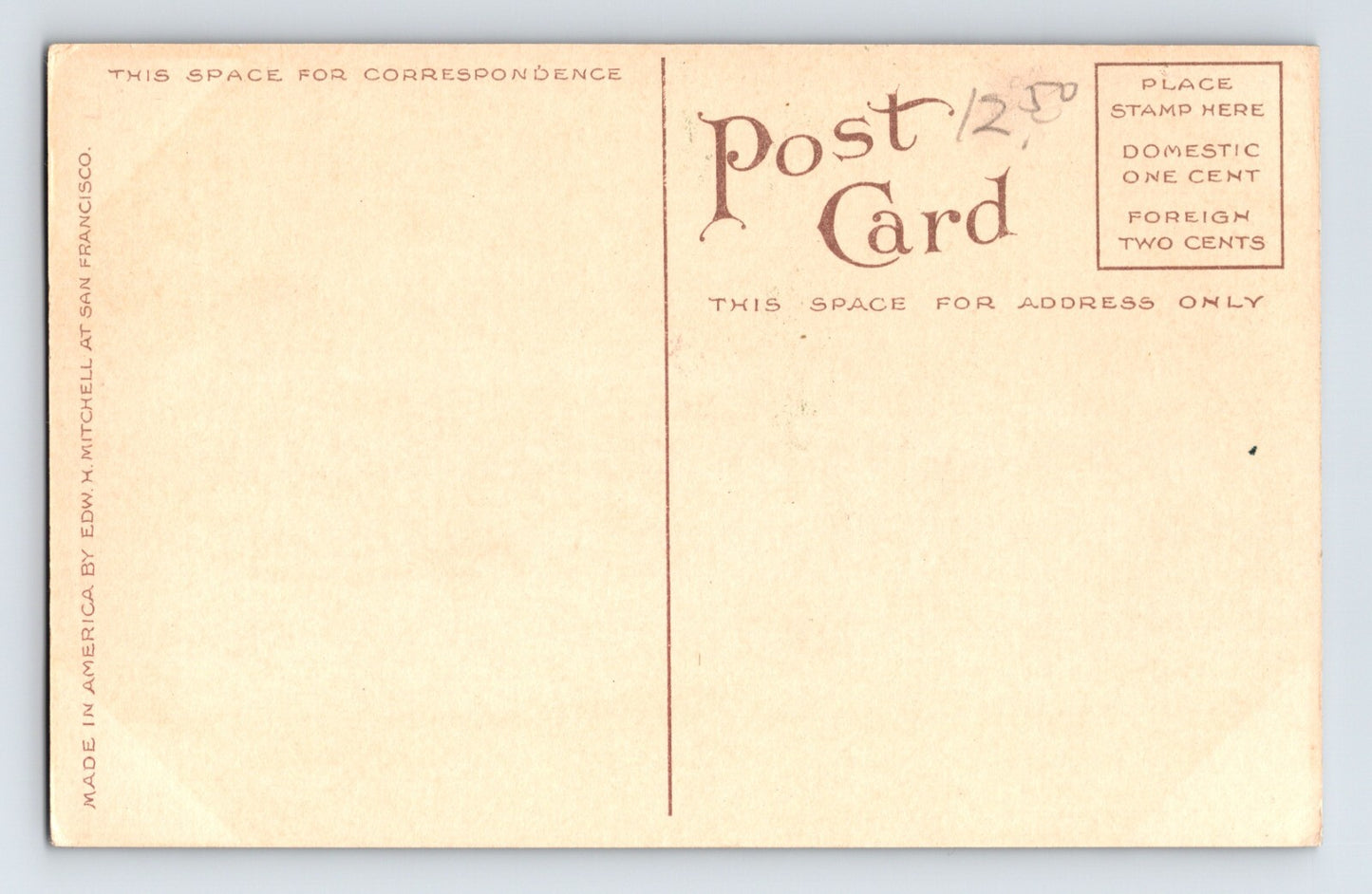 Oakland California Idora Park Willow Trees 1910s Postcard Unposted Divided Back