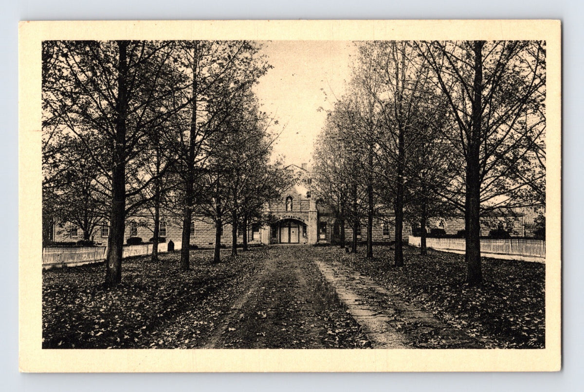 Bardstown Kentucky Our Lady of Gethsemani Abbey tree lined drive monastery 1940s postcard