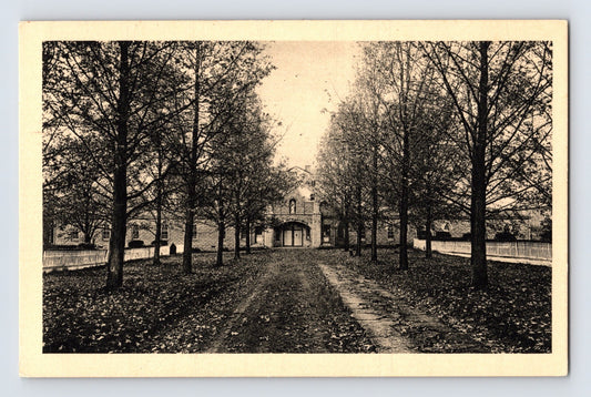 Bardstown Kentucky Our Lady of Gethsemani Abbey tree lined drive monastery 1940s postcard