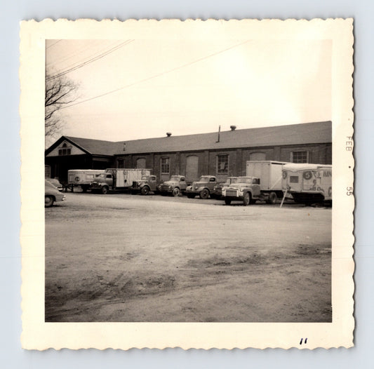 King Bros Circus trucks and trailers lined up outside brick winter quarters building February 1955 photo