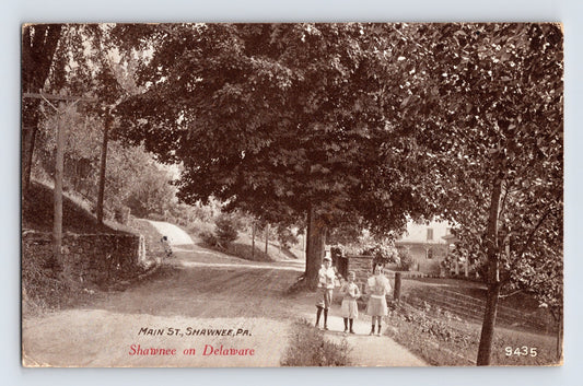 Shawnee Pennsylvania Main Street tree lined road children early rural village 1910s postcard