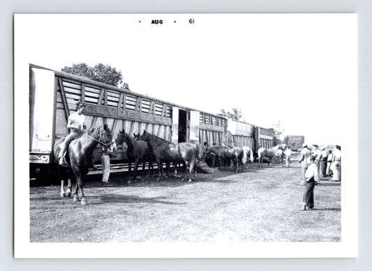 Clyde Beatty Circus 1961 photo railroad train car horses unloading livestock rail transport
