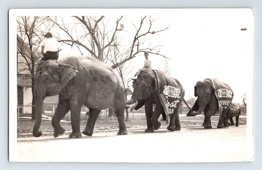 Cole Walter Circus elephants parade with riders Chevrolet advertising banners 1951 photo