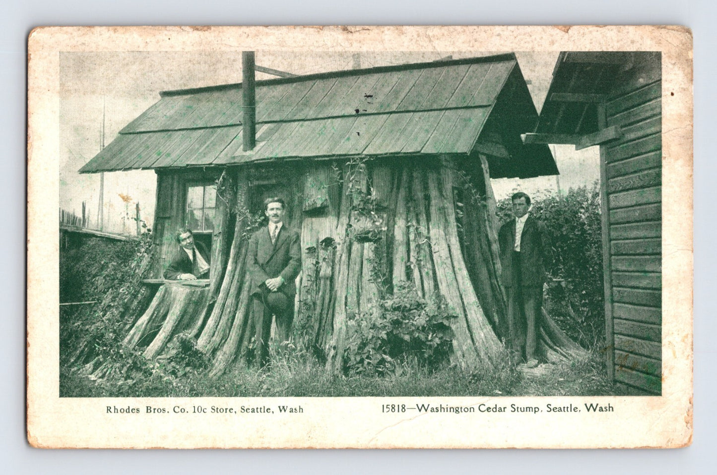 Seattle Washington cedar stump house novelty structure Rhodes Bros store men posing 1908 postcard