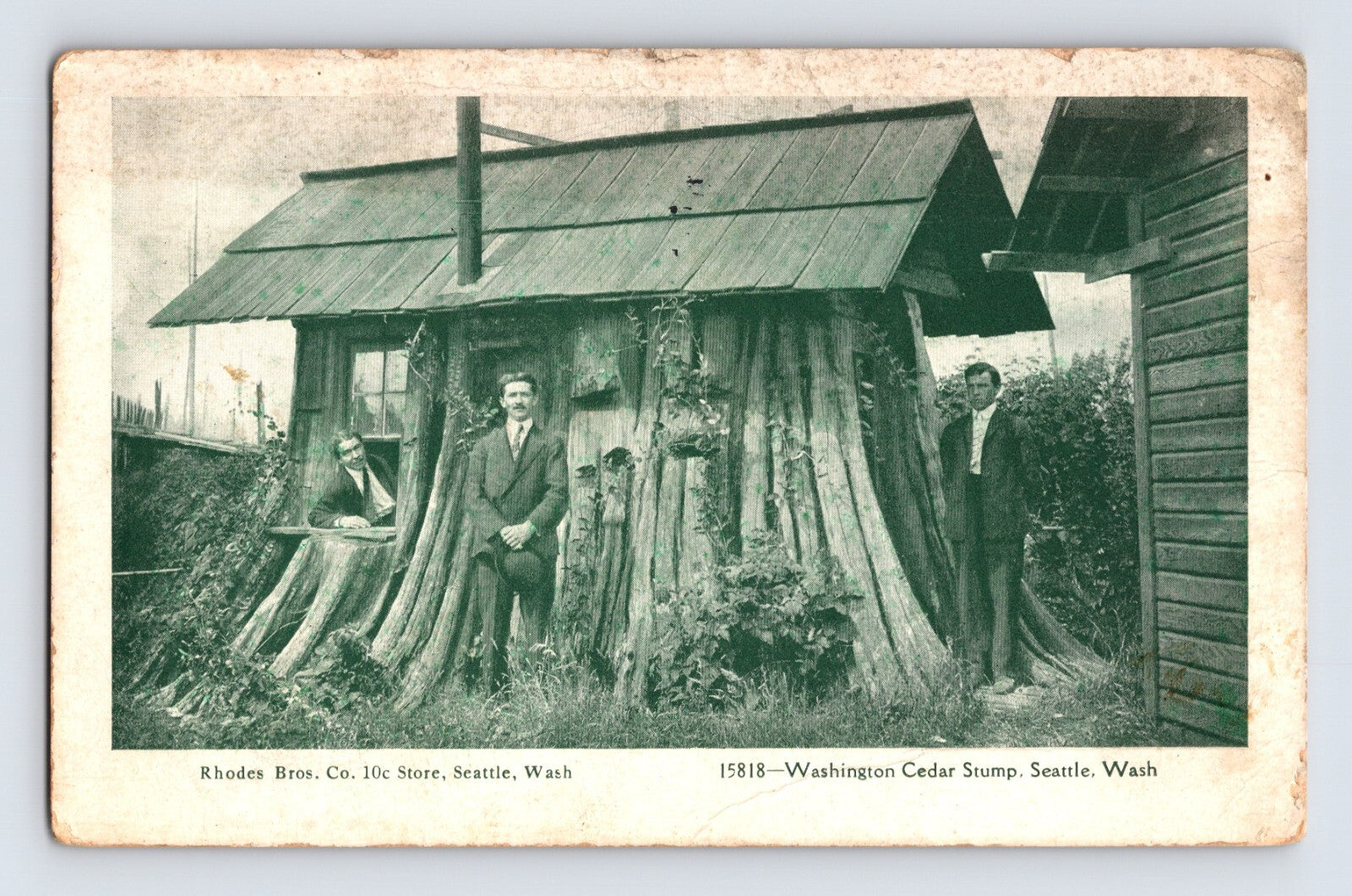 Seattle Washington cedar stump house novelty structure Rhodes Bros store men posing 1908 postcard