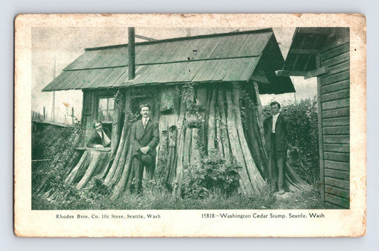 Seattle Washington cedar stump house novelty structure Rhodes Bros store men posing 1908 postcard