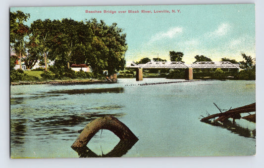 Lowville New York Beaches Bridge over Black River scenic postcard 1910s