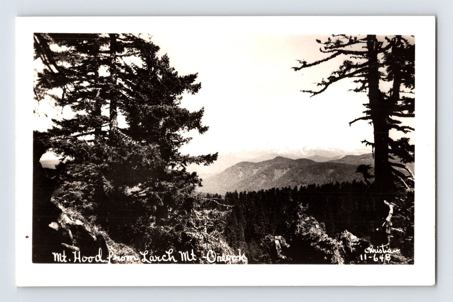 Mt Hood Oregon Larch Mountain Landscape 1940s RPPC Postcard Unposted