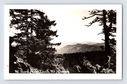Mt Hood Oregon Larch Mountain Landscape 1940s RPPC Postcard Unposted
