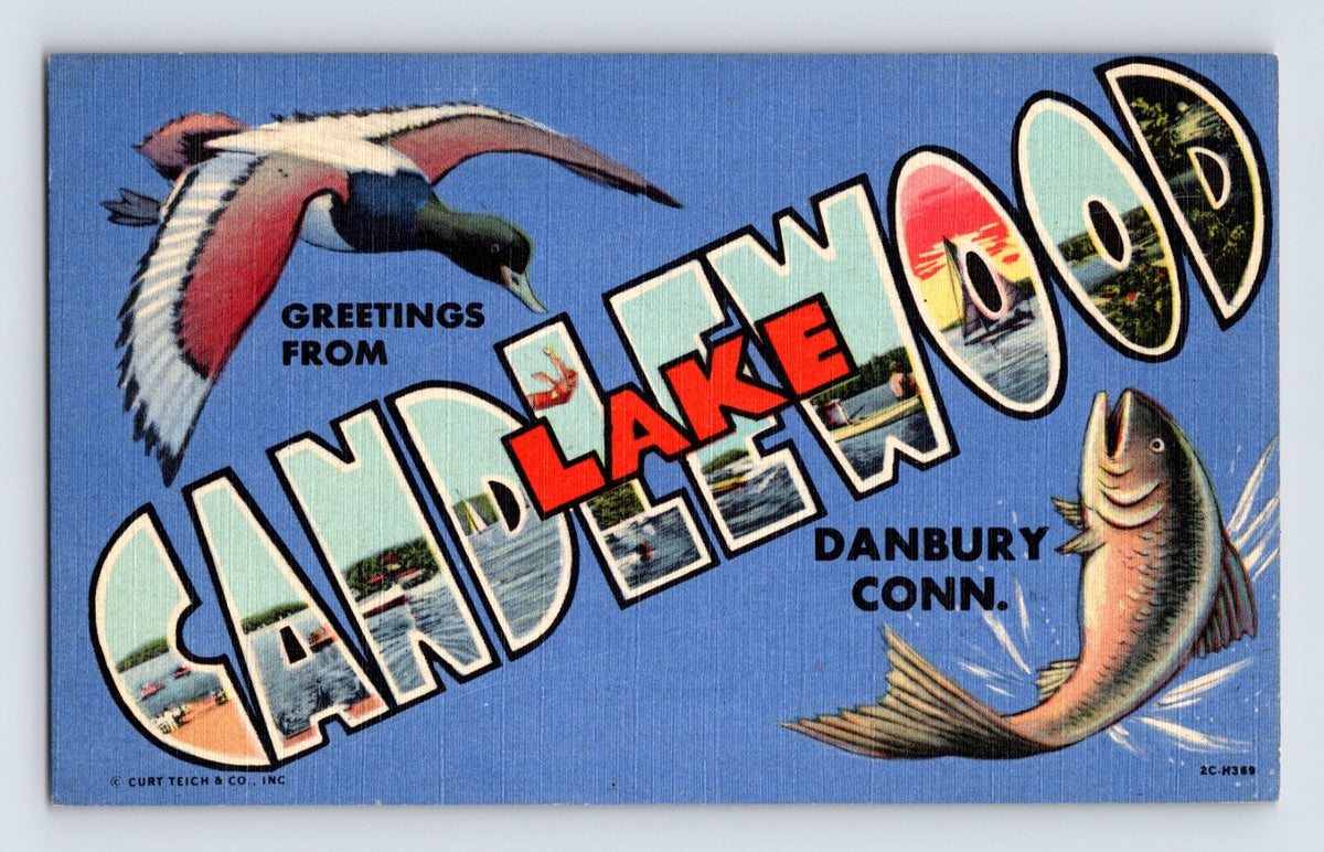 Color linen postcard with large letter design reading Greetings from Lake Candlewood Danbury Conn featuring scenic inset views, flying duck, and leaping fish; unposted divided back.