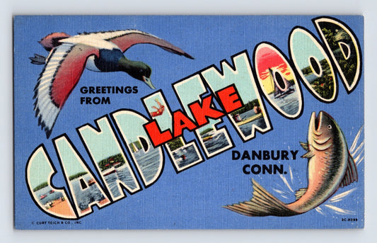 Color linen postcard with large letter design reading Greetings from Lake Candlewood Danbury Conn featuring scenic inset views, flying duck, and leaping fish; unposted divided back.
