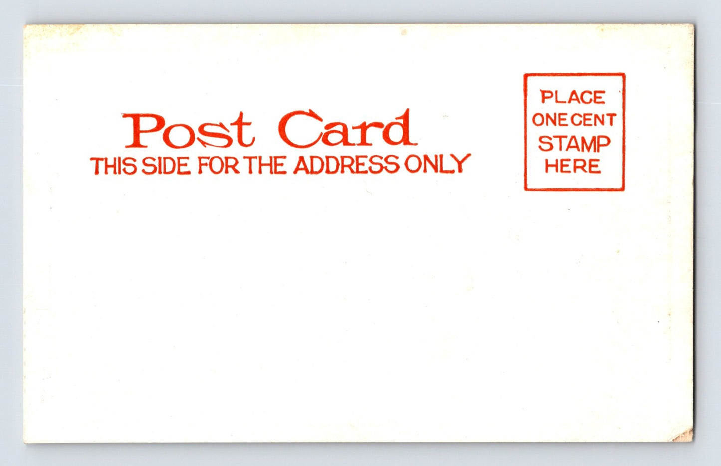 Postcard Virginia Trinity Point YMCA Camp Pre-1907 Unposted Undivided Back